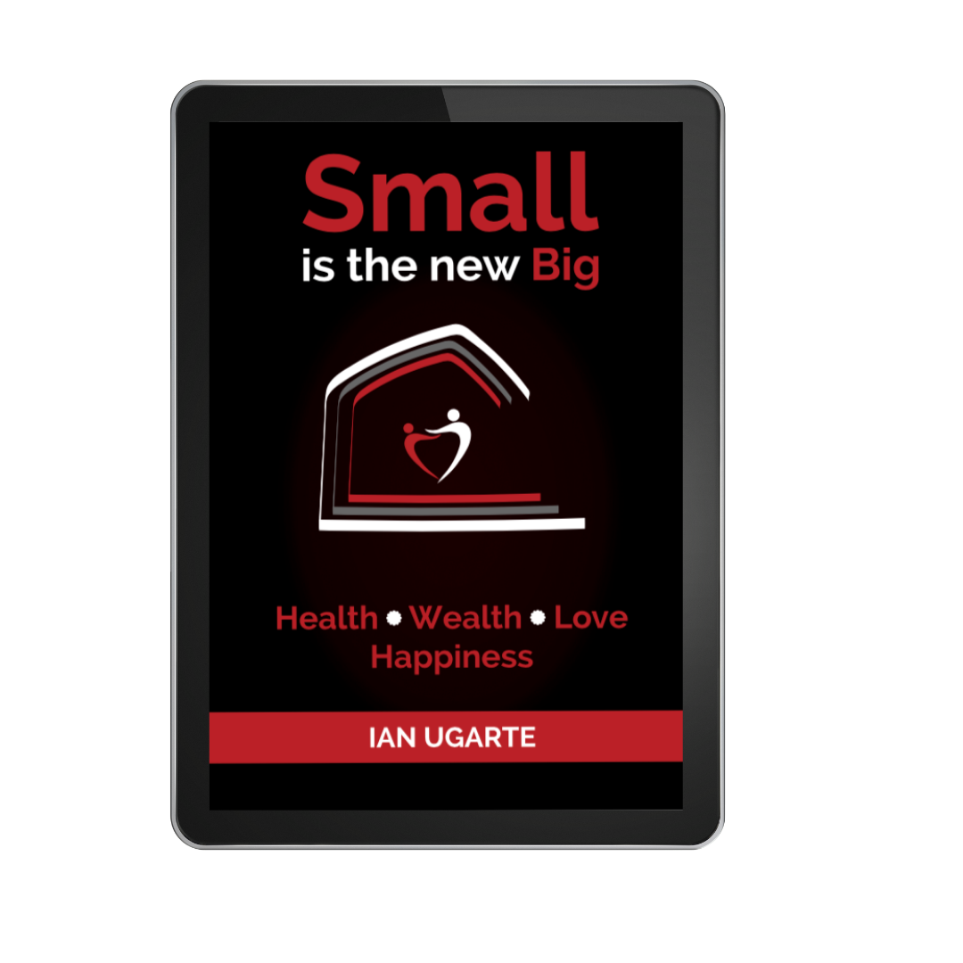 Small Is The New Big Ebook
